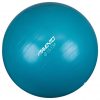 Avento Fitnes žoga / gimnastična žoga premer 55 cm modra