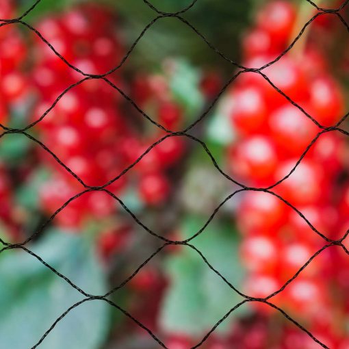 Nature Mreža proti pticam Primo 10x4 m črne barve