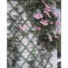 Nature Oporna mreža za rastline 100x200 cm PVC zelene barve 6040704