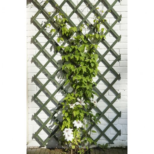 Nature Vrtna oporna mreža za rastline 2 kosa zelena 50x150 cm