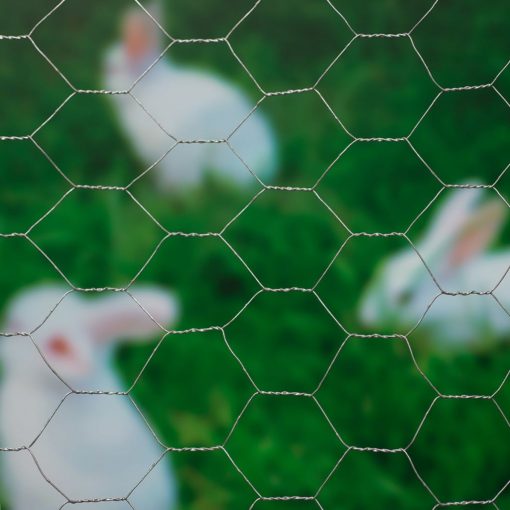 Nature Žična mreža šestkotna 1x10 m 40 mm galvanizirano jeklo