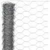 Nature Žična mreža šestkotna 1x10 m 40 mm galvanizirano jeklo