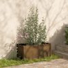 Vrtno cvetlično korito medeno rjavo 100x50x50 cm trdna borovina