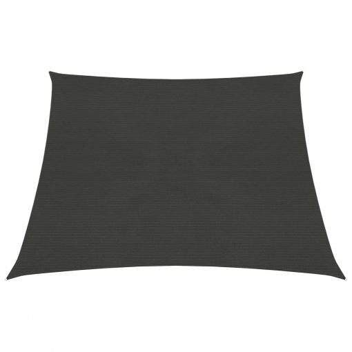 311104 Sunshade Sail 160 g/m² Anthracite 3/4x3 m HDPE