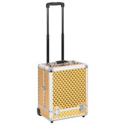 Kovček za ličila 35x29x45 cm zlat iz aluminija