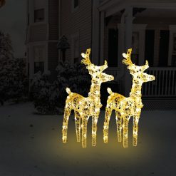 Božični severni jeleni 2 kosa toplo beli 80 LED akril
