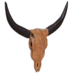 Stenska skulptura lobanja bika tikovina 69x6x60 cm