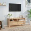 TV omarica sonoma hrast 100x34