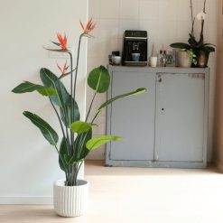 Umetna rastlina strelicija v loncu s cvetovi 120 cm