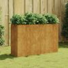 Vrtna visoka greda 120x40x80 cm corten jeklo