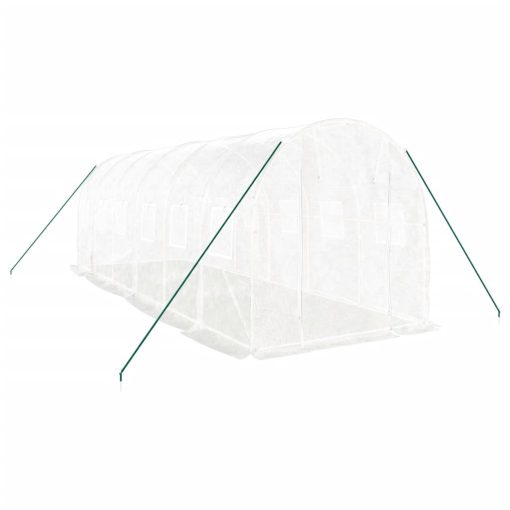 Rastlinjak z jeklenim ogrodjem bel 12 m² 6x2x2 m